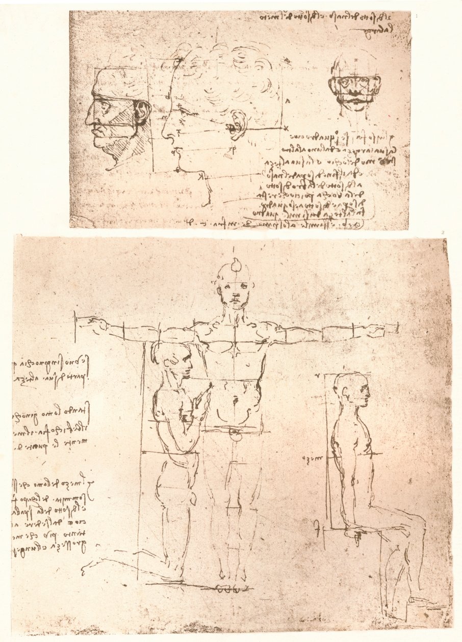 Dwa rysunki ilustrujące teorię proporcji postaci ludzkiej, c1472-c1519 1883. autorstwa Leonardo da Vinci