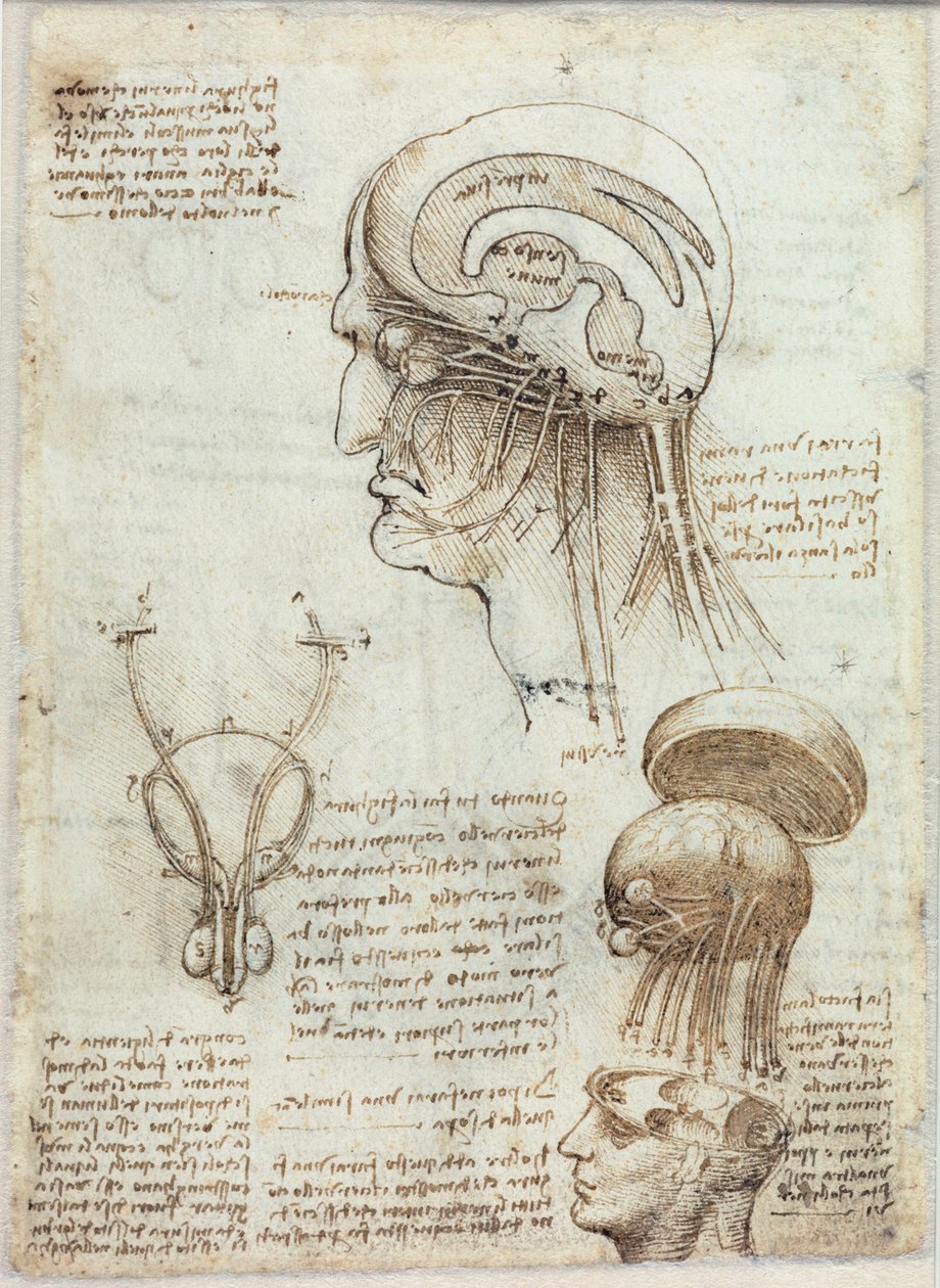 Nieznany obraz autorstwa Leonardo da Vinci