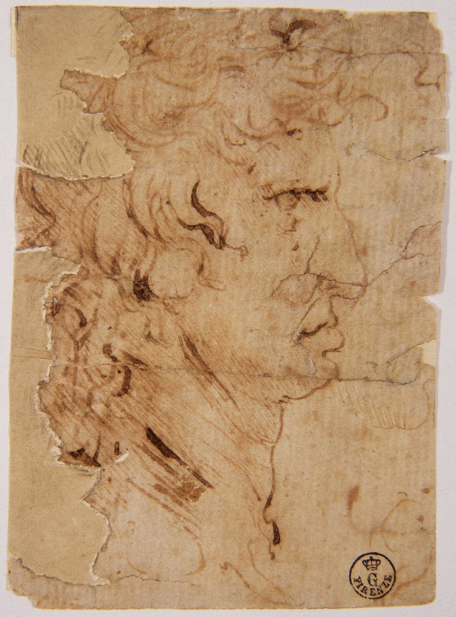 Nieznany obraz autorstwa Leonardo da Vinci