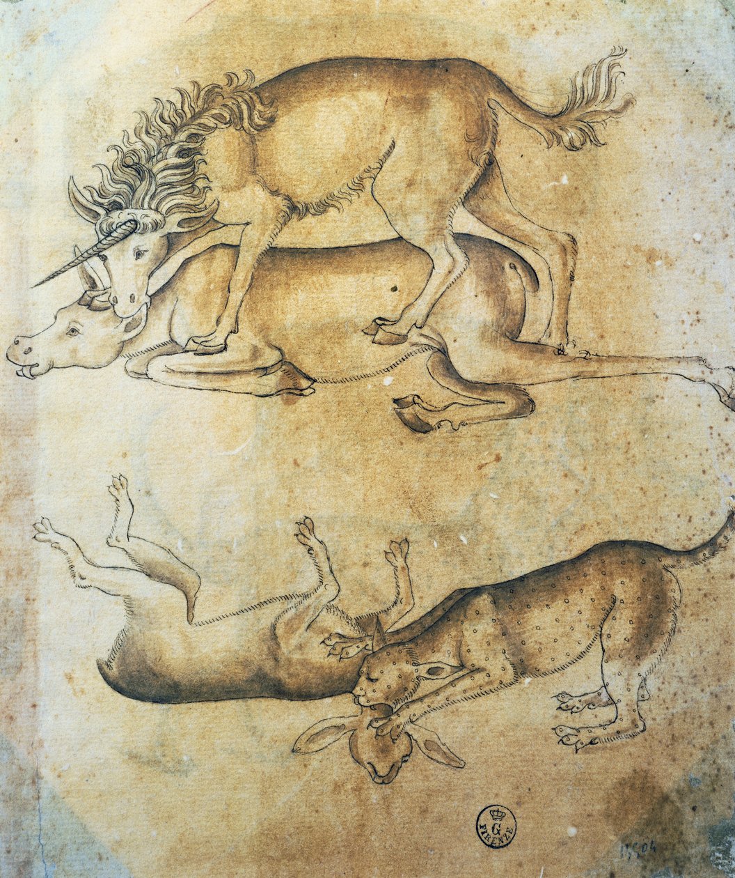 Jednorożec atakujący krowę i lampart atakujący owcę, studium zwierząt, Leonardo da Vinci (1452-1519), rysunek autorstwa Leonardo da Vinci