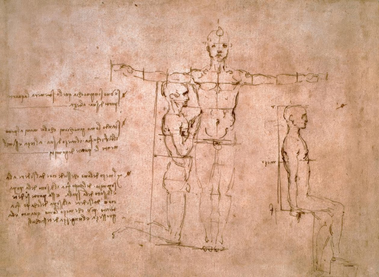 Badania porównawcze proporcji... autorstwa Leonardo da Vinci