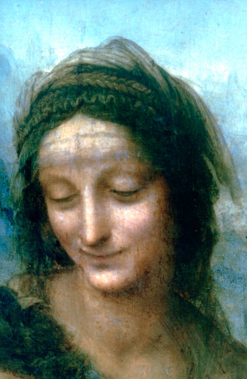 Dziewica z Dzieciątkiem z detalem św. Anny, 1502-1516 autorstwa Leonardo da Vinci