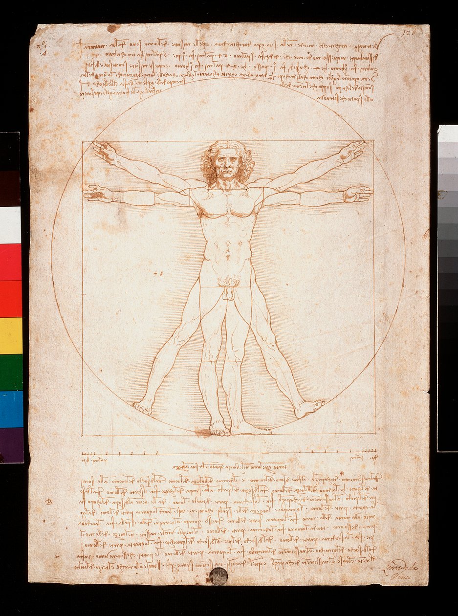 Człowiek witruwiański autorstwa Leonardo da Vinci