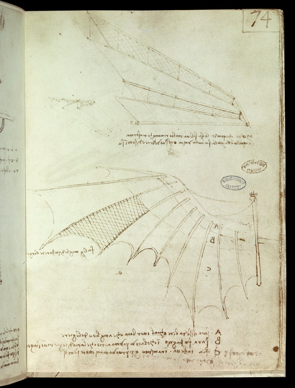 Skrzydło. Latająca maszyna rysunek. Rękopis Leonarda De Vinci (Leonardo da Vinci autorstwa Leonardo da Vinci