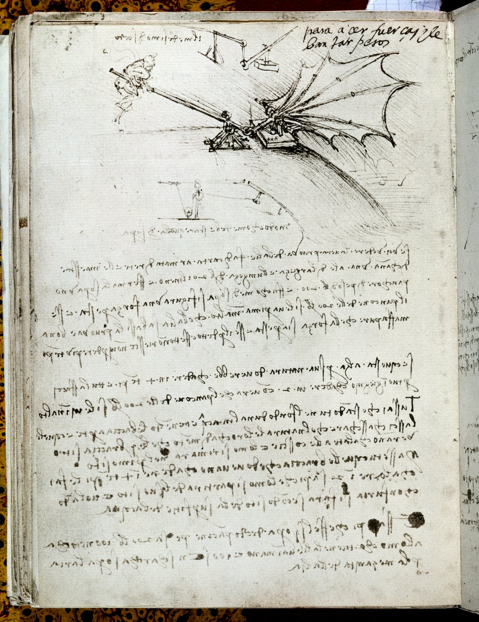 Szkolenie na skrzydłach. Latająca maszyna rysunek. Rękopis Leonarda De Vinci (Leonardo da Vinci autorstwa Leonardo da Vinci