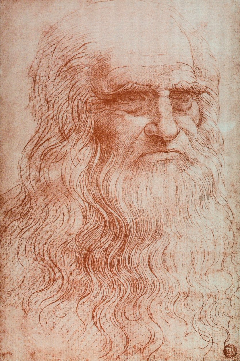 Portret Leonarda da Vinci, kopia Autoportretu Leonarda da Vinci, sangwina, Galeria Accademia, Wenecja autorstwa Leonardo da after Vinci