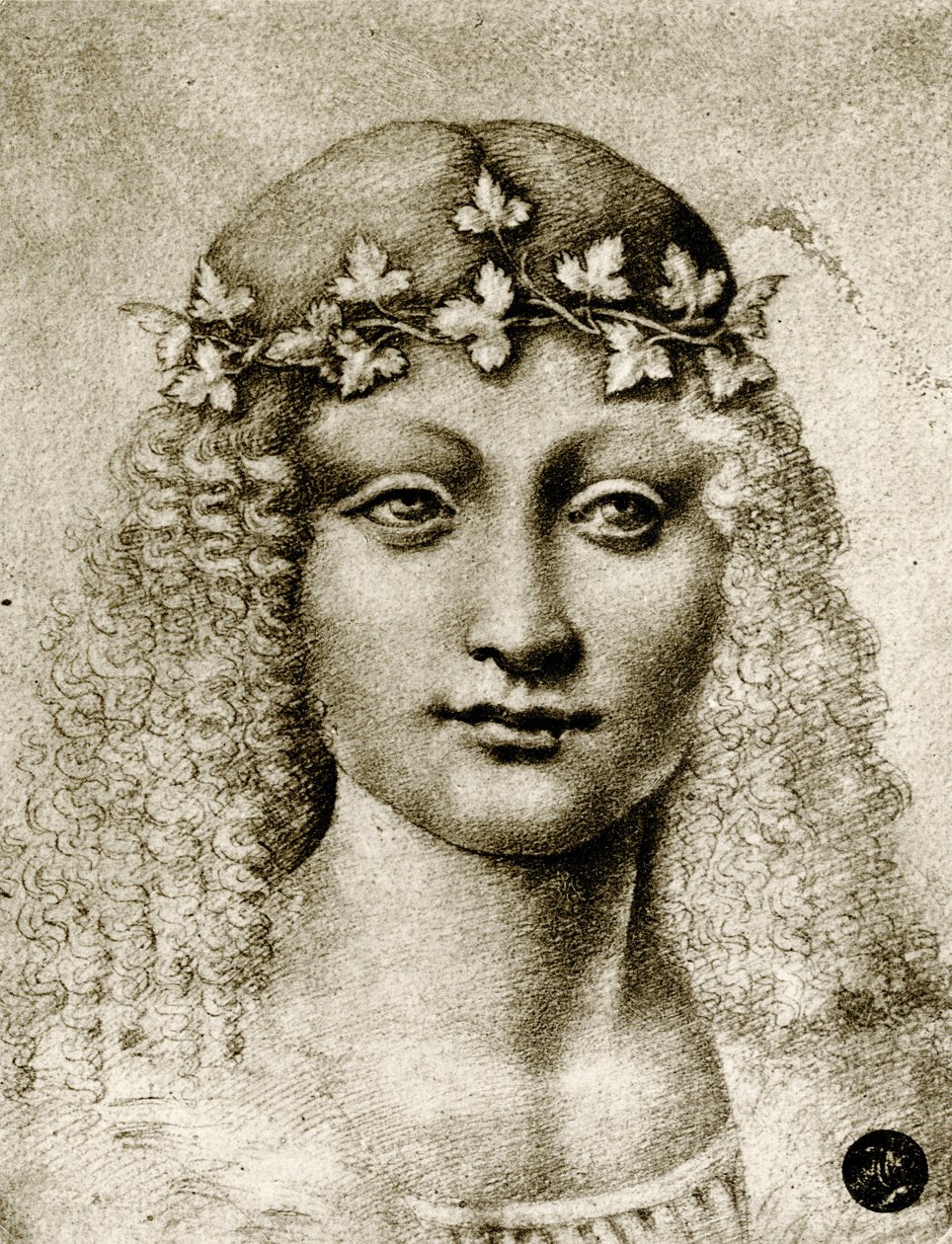 Głowa dziewczyny ozdobiona winoroślą autorstwa Leonardo da school of Vinci