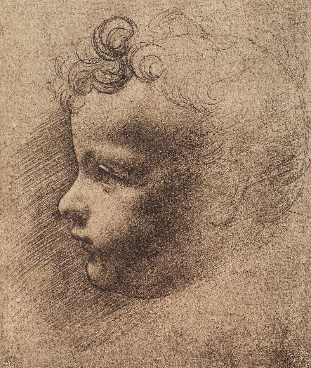Głowa małego chłopca; rysunek Leonarda da Vinci. Luwr, Paryż autorstwa Leonardo da school of Vinci