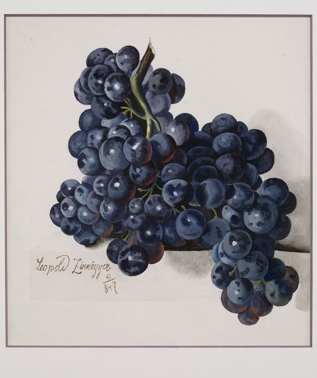 Winogrona autorstwa Leopold Zinnogger