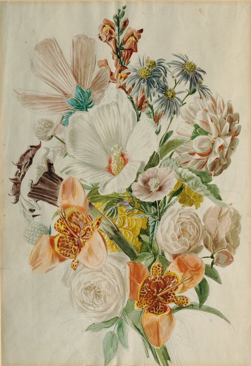 Bukiet z Hibiskusem i Lilią autorstwa Leopold von Stoll