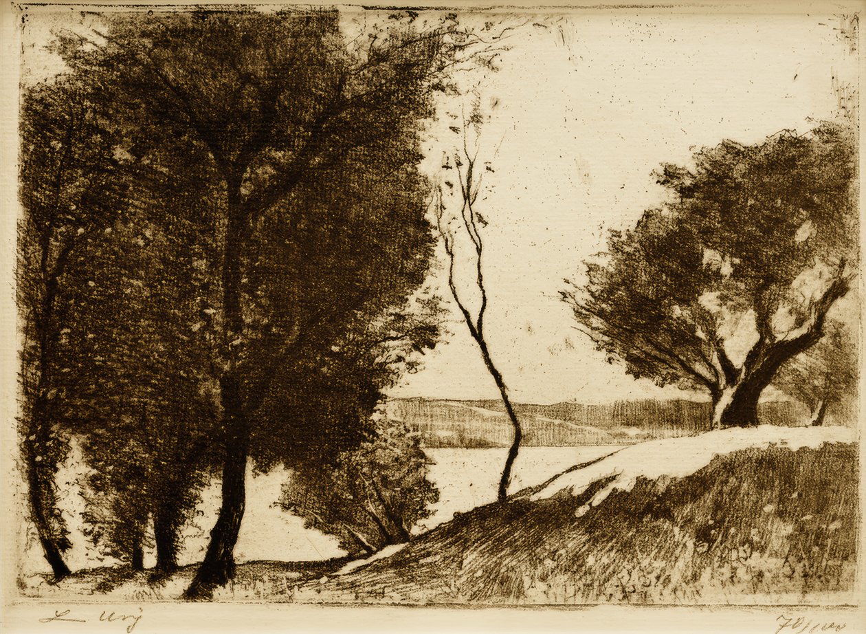 Wysadzany drzewami brzeg jeziora brandenburskiego autorstwa Lesser Ury