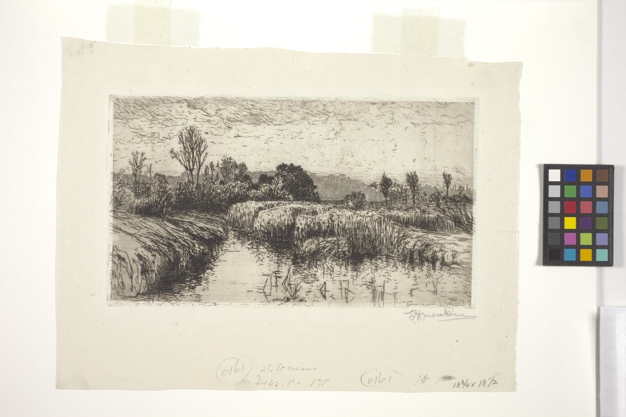 Popołudnie w marcu, Schleissheim, Bawaria (akwaforta) autorstwa Lewis Henry Meakin