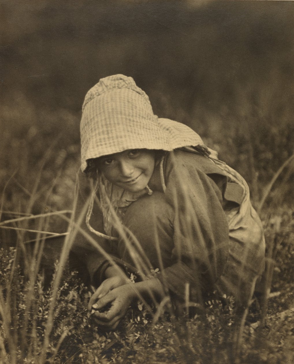 Cranberry Picker, New Jersey autorstwa Lewis W. Hine