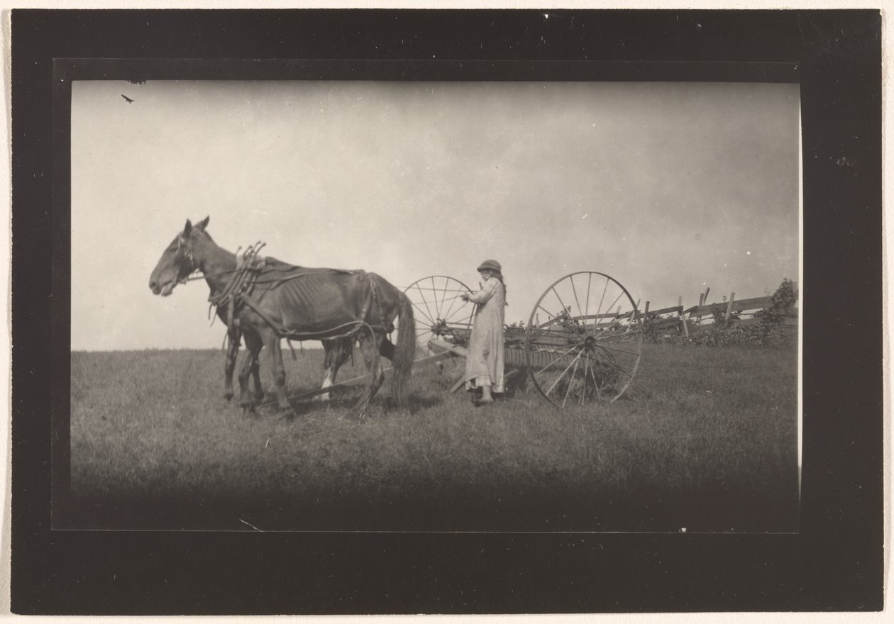 [Scena na farmie, Massachusetts]. autorstwa Lewis W. Hine