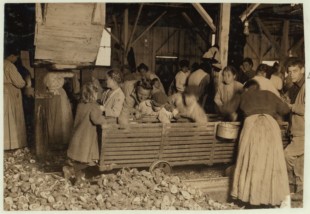 Bill May, lat 5, który zarabia 15 centów dziennie, w szopie na Barataria Canning Company, Biloxi, Mississippi, 1911 r. autorstwa Lewis Wickes Hine
