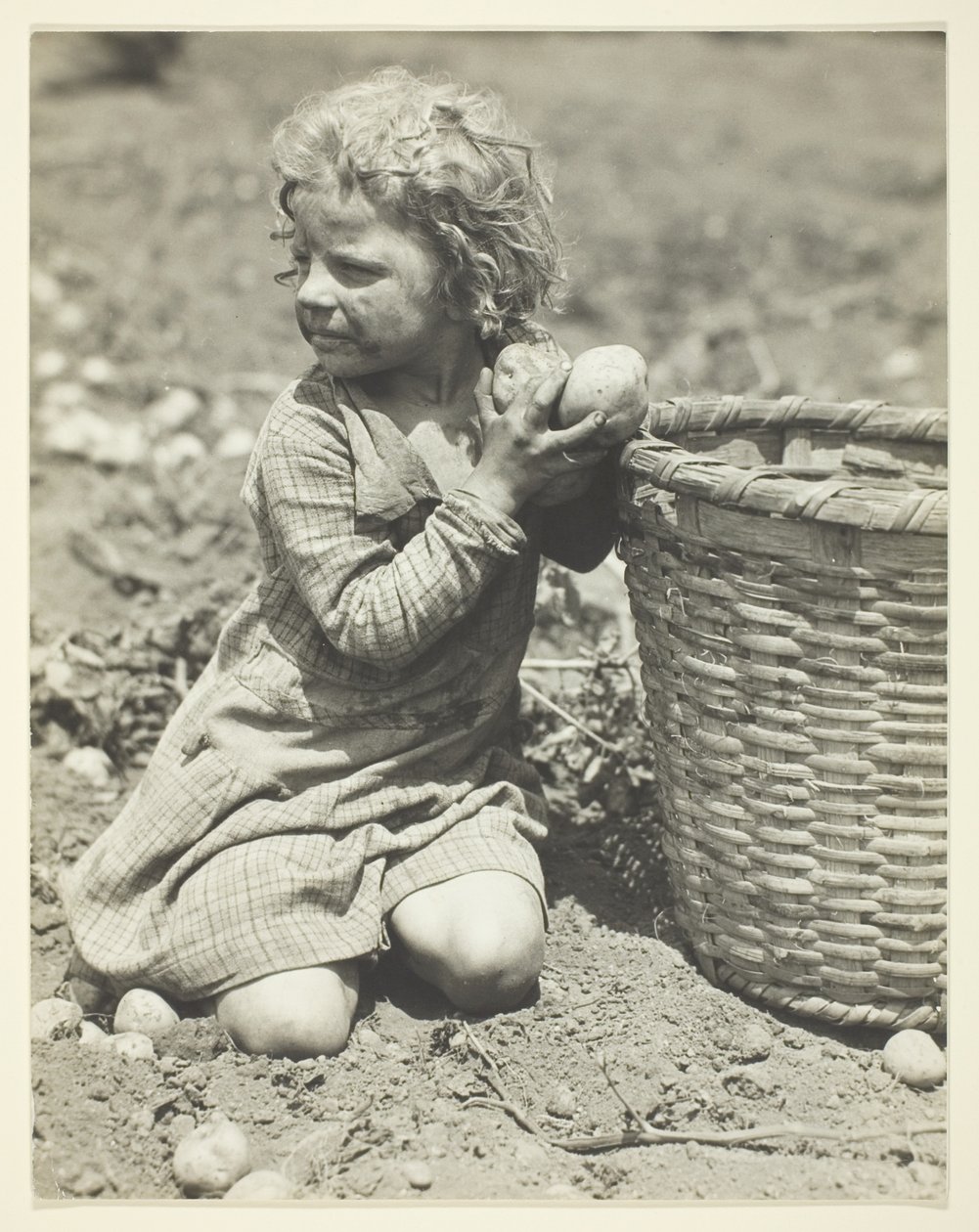 Praca dzieci na farmie autorstwa Lewis Wickes Hine