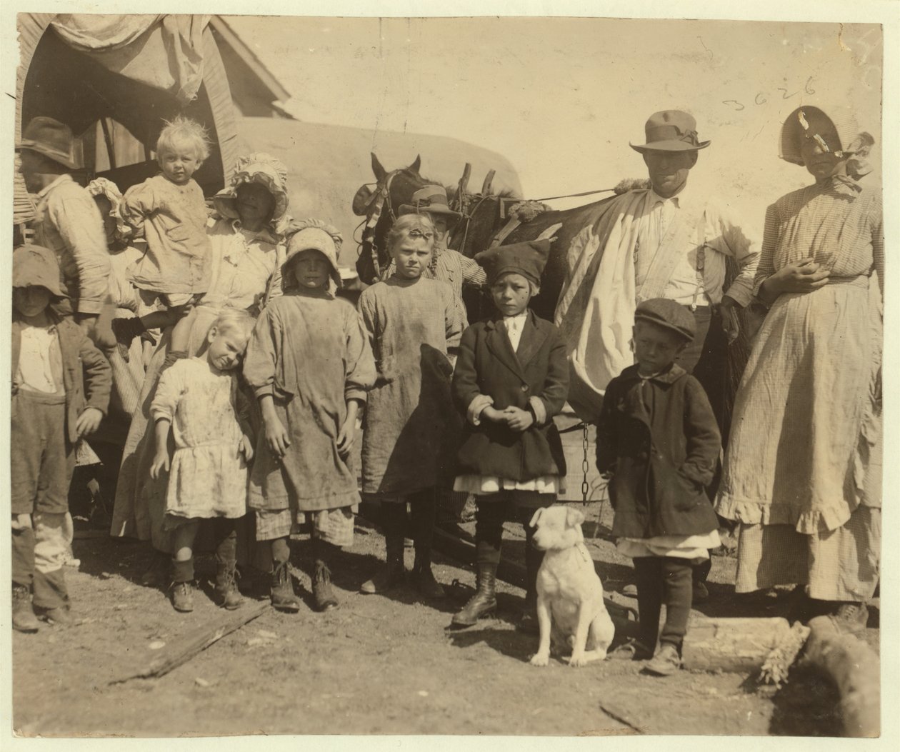 Wędrowni zbieracze bawełny opuszczają farmę niedaleko McKinney w Teksasie po zebraniu półtorej beli bawełny dziennie, 1913 autorstwa Lewis Wickes Hine