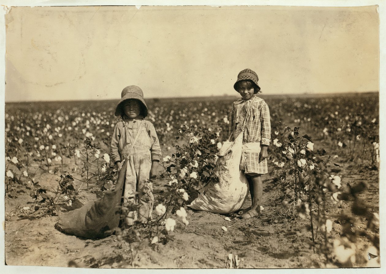 Jewel i Harold Walker, 6 i 5 lat, zbierają od 20 do 25 funtów bawełny dziennie w Geronimo, Comanche County Oklahoma, 1916 autorstwa Lewis Wickes Hine