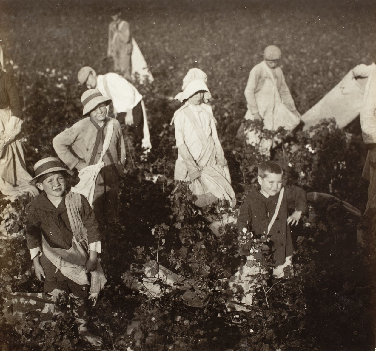 W pobliżu Waxahachie w Teksasie autorstwa Lewis Wickes Hine