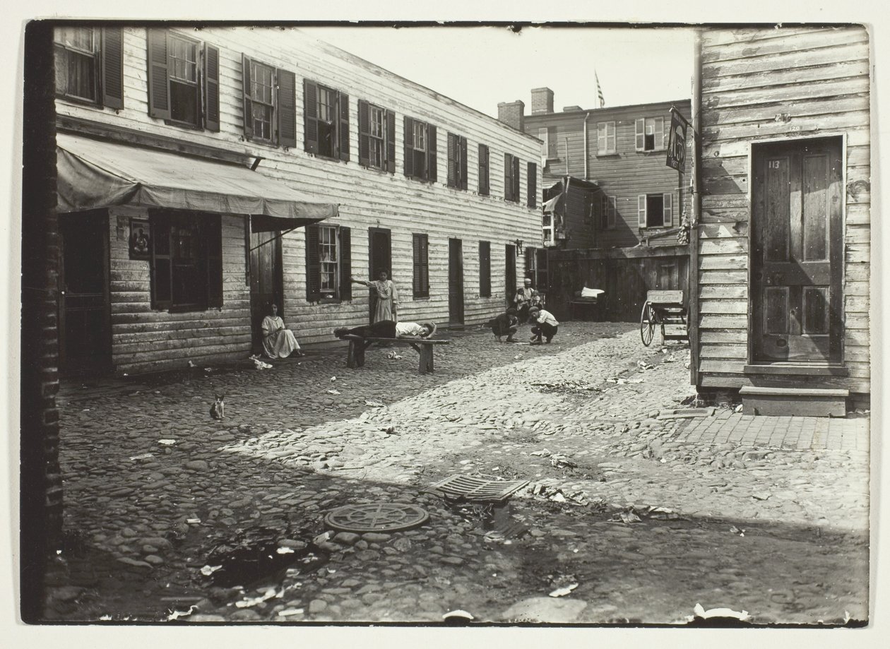 Negro Alley Housing Whites, Waszyngton, D.C. autorstwa Lewis Wickes Hine