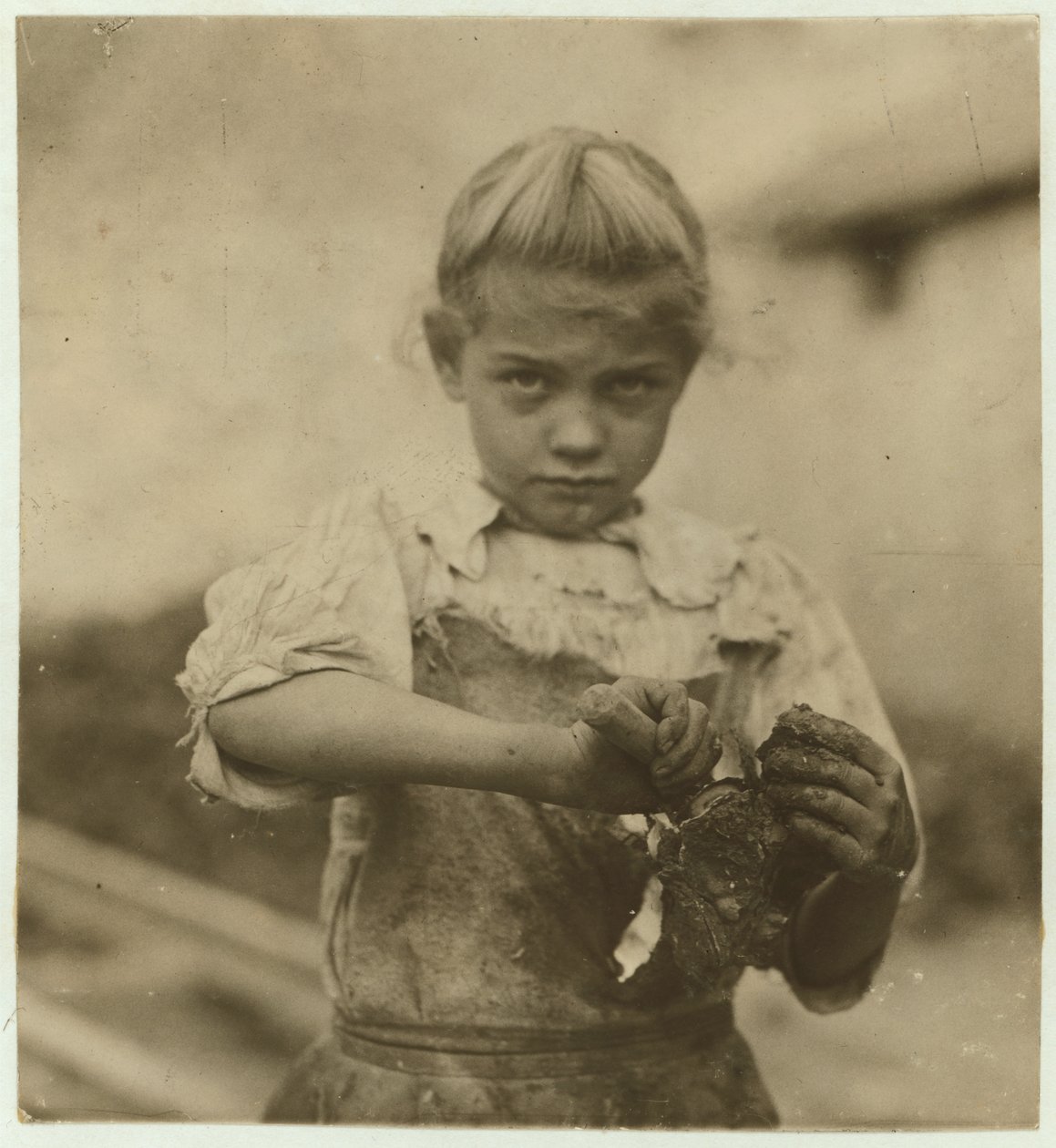 Rosie, lat 7, analfabetka, przez drugi rok pracowała jako ostrygowiec w firmie Varn und Platt Canning Company, Bluffton, Karolina Południowa, 1913 autorstwa Lewis Wickes Hine