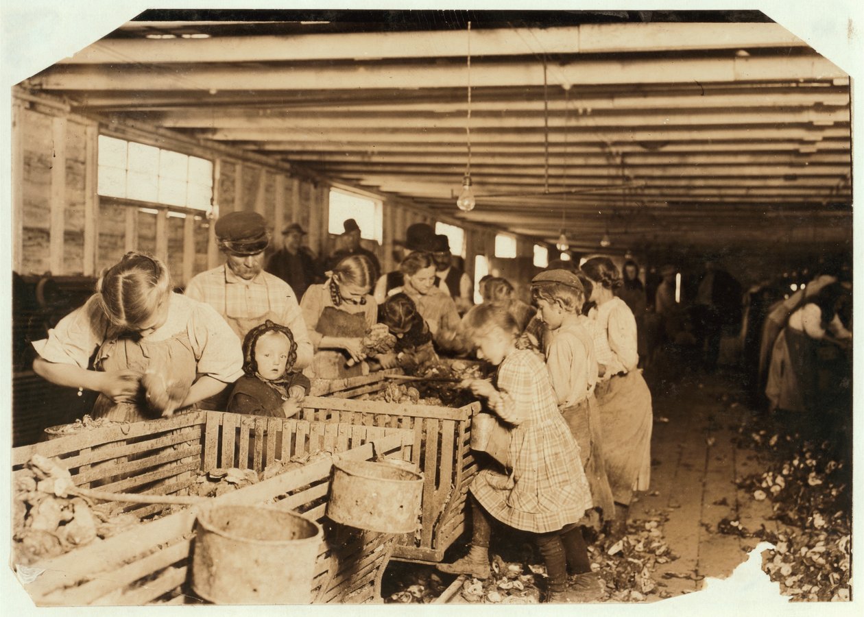 Rosy w wieku 8 lat pracuje 14 godzin dziennie jako ostrygi w Dunbar Cannery, Luizjana, 1911 autorstwa Lewis Wickes Hine
