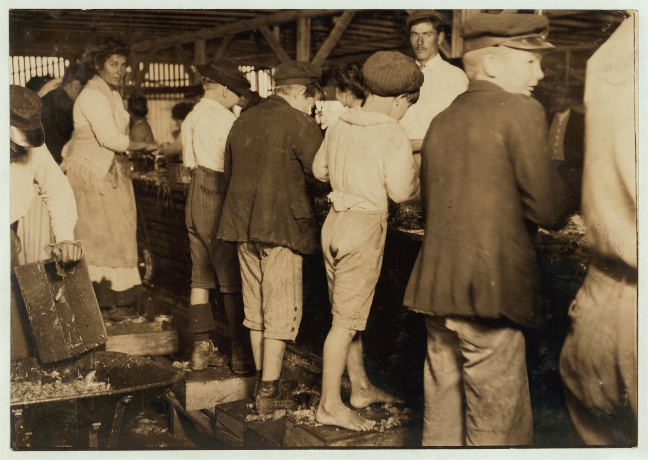 Zbieracze krewetek, w tym 8-letni Max, w Dunbar, Lopez, Dukate Co, Biloxi, Mississippi, 1911 autorstwa Lewis Wickes Hine