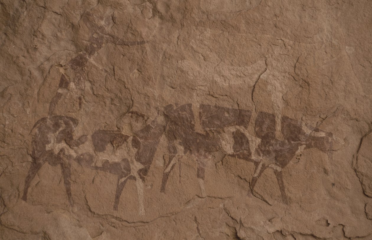 Bydło i postacie ludzkie, Malarstwo jaskiniowe, Oued in Djeran, Near Djanet, Tassili n