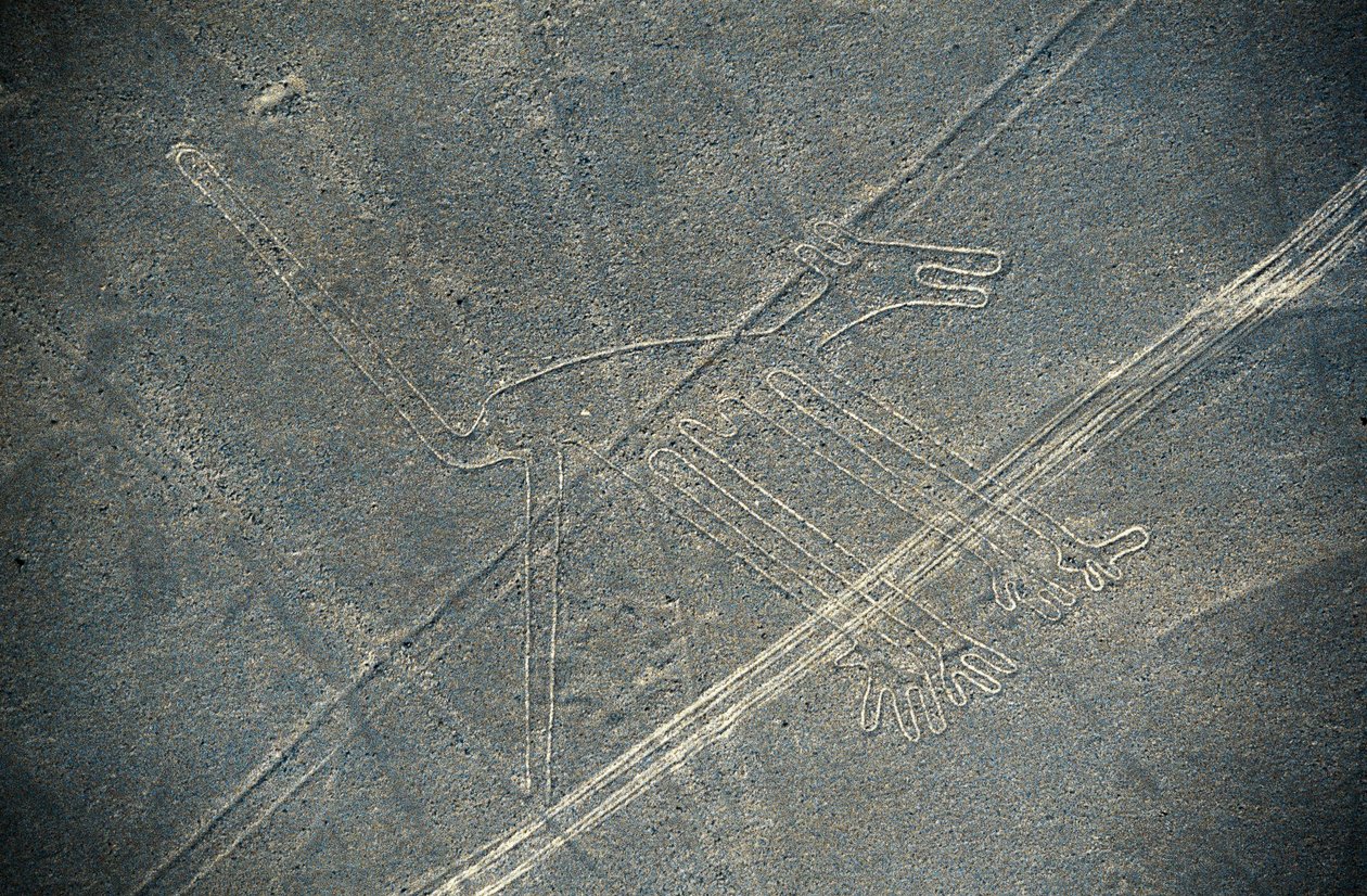 Pies, Linie Nazca, Nazca, Peru, Cywilizacja Nazca (zdjęcie) autorstwa Unbekannt Unbekannt