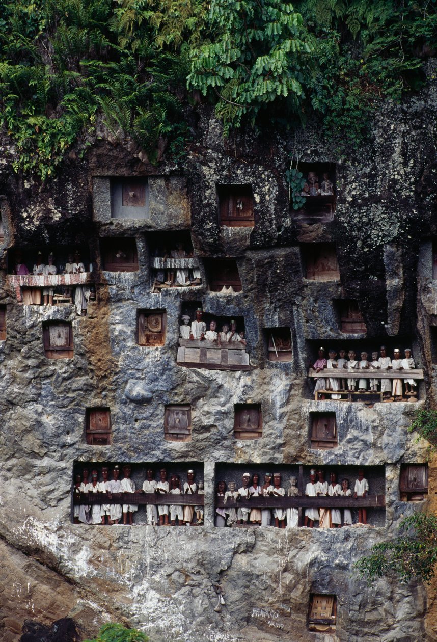 Nisze pogrzebowe z figurami kostnicy Tau Tau, wioska Lemo, Tana Toraja, wyspa Sulawesi, Indonezja. autorstwa Unbekannt Unbekannt