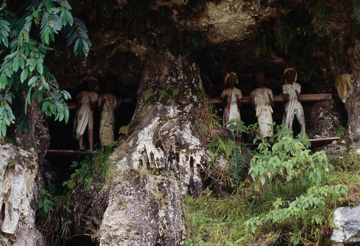 Nisze pogrzebowe z figurami kostnicy Tau Tau, wioska Marrante, Tana Toraja, wyspa Sulawesi, Indonezja autorstwa Unbekannt Unbekannt