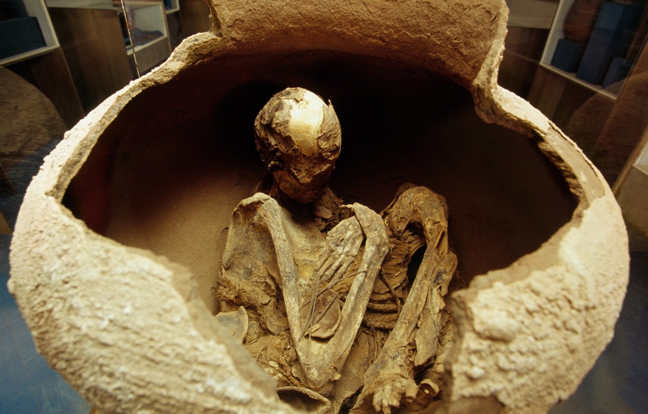 Mumia w ceramicznej urnie. Cywilizacja Atacama, paleolit. autorstwa Unbekannt Unbekannt