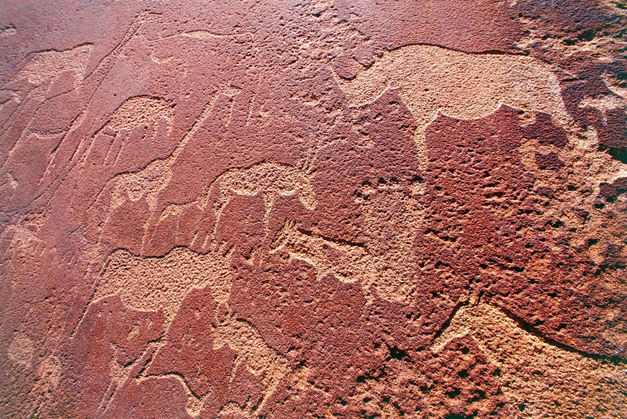 Namibia, obszar dzikiej przyrody Damaraland, Twyfelfontein, góry Brandberg, ryciny skalne z epoki kamienia autorstwa Unbekannt Unbekannt