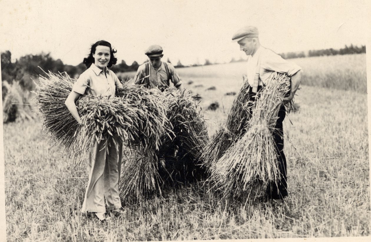 Zdjęcie Adele Astaire w czasie żniw (zdjęcie czarno-białe) autorstwa Unbekannt Unbekannt