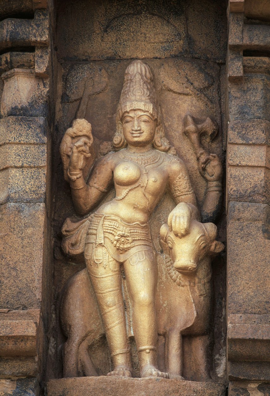 Parvathi z niedoborem ulgi, świątynia Brihadeeswara, Gangaikonda Cholapuram, Tamil Nadu, Indie autorstwa Unbekannt Unbekannt
