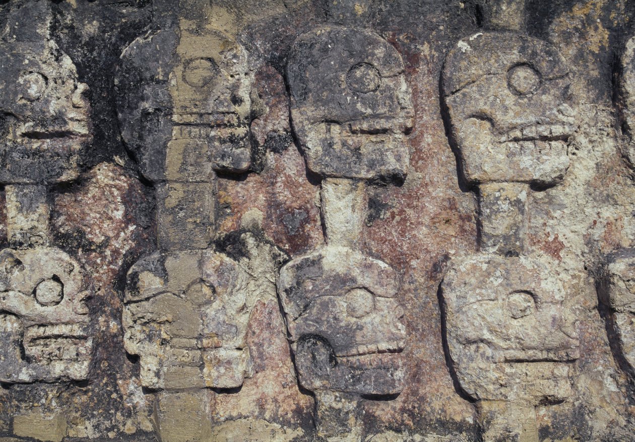 Relief przedstawiający ludzkie czaszki, fragment Tzompantli lub Ściany Czaszek, stanowisko archeologiczne Chichen Itza (wpisane na Listę Światowego Dziedzictwa UNESCO autorstwa Unbekannt Unbekannt