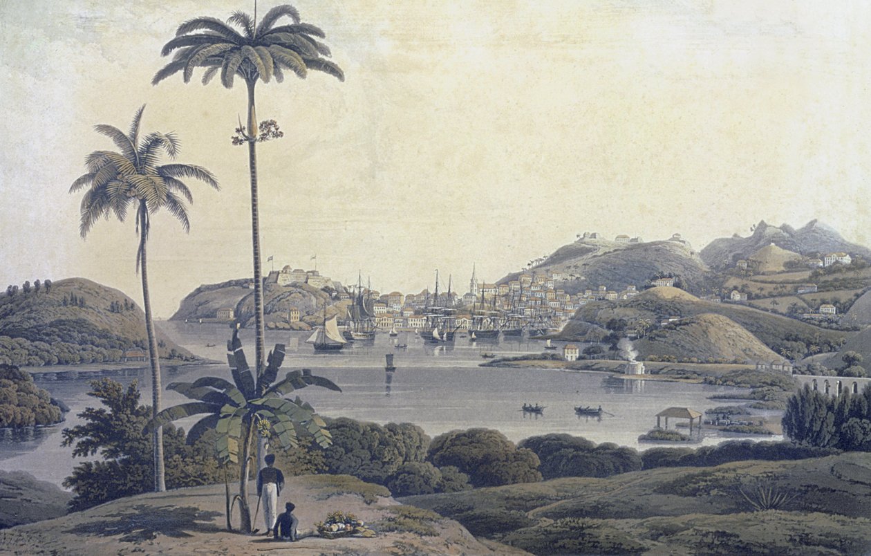 Widok miasta św. Jerzego na wyspie Grenada, zaczerpnięty z posiadłości Belmont, ryty przez Williama Daniella (1769-1837), ok. 1810 autorstwa Lieutenant Colonel J. Wilson
