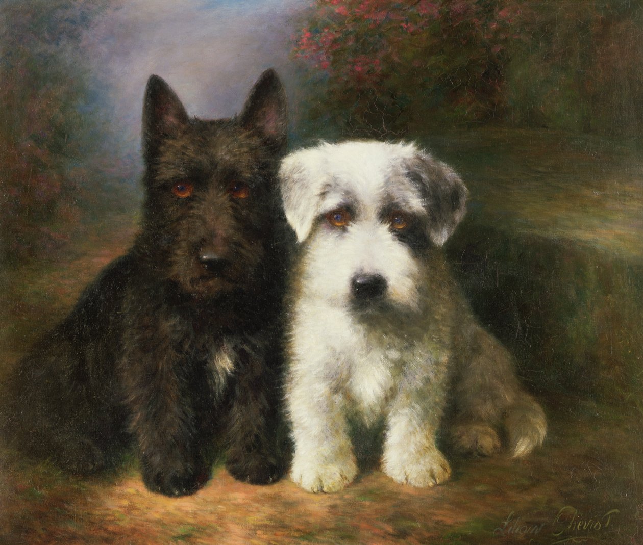 Szkot i Sealyham Terrier autorstwa Lilian Cheviot