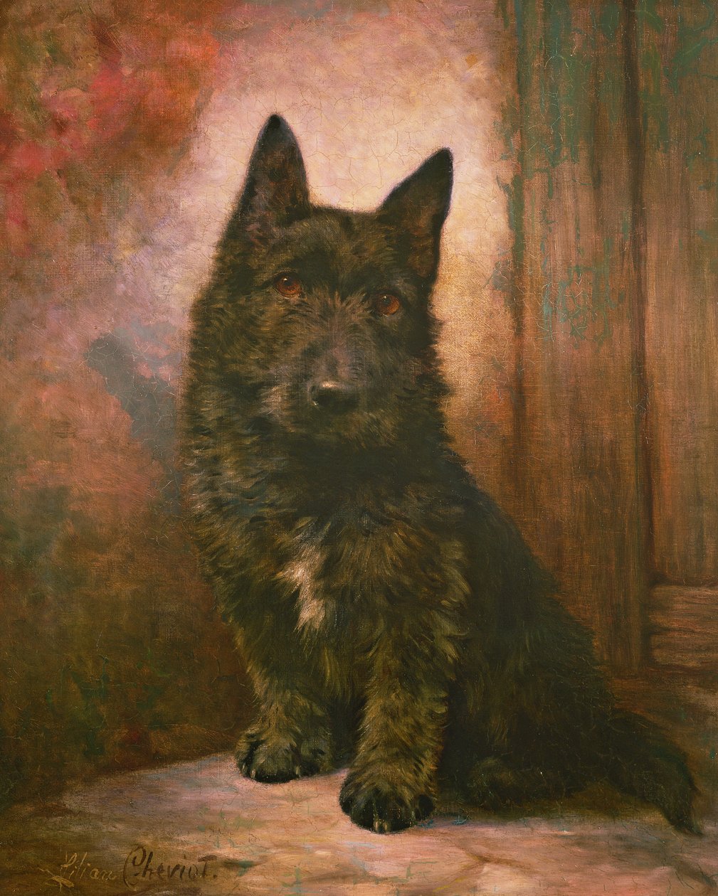 Scottie szczeniak autorstwa Lilian Cheviot