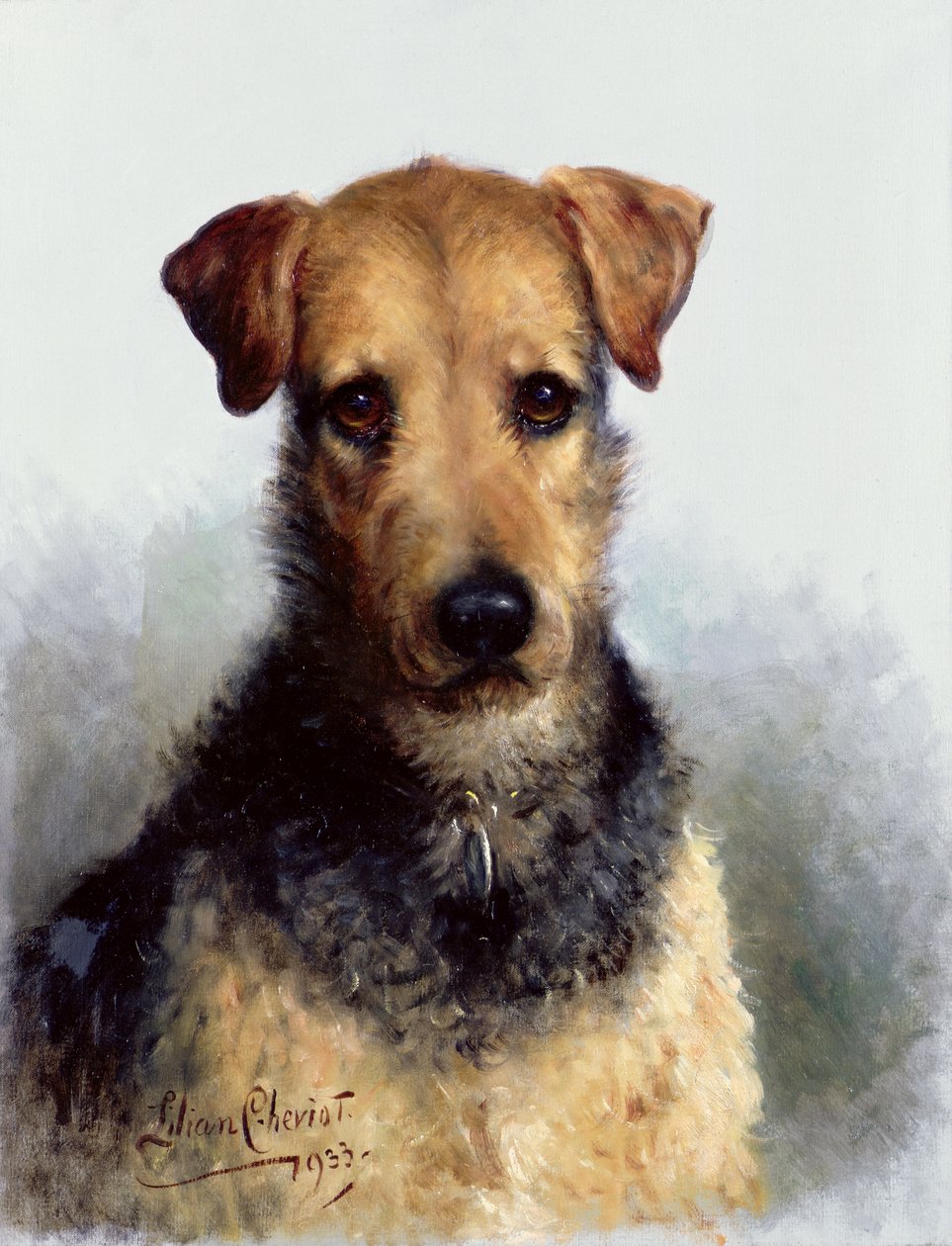 Foksterier szorstkowłosy, 1933 autorstwa Lilian Cheviot