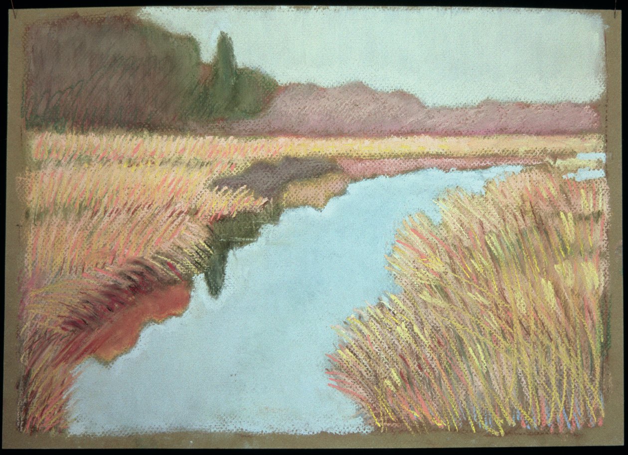 Przypływ, 1990 autorstwa Lillian Delevoryas