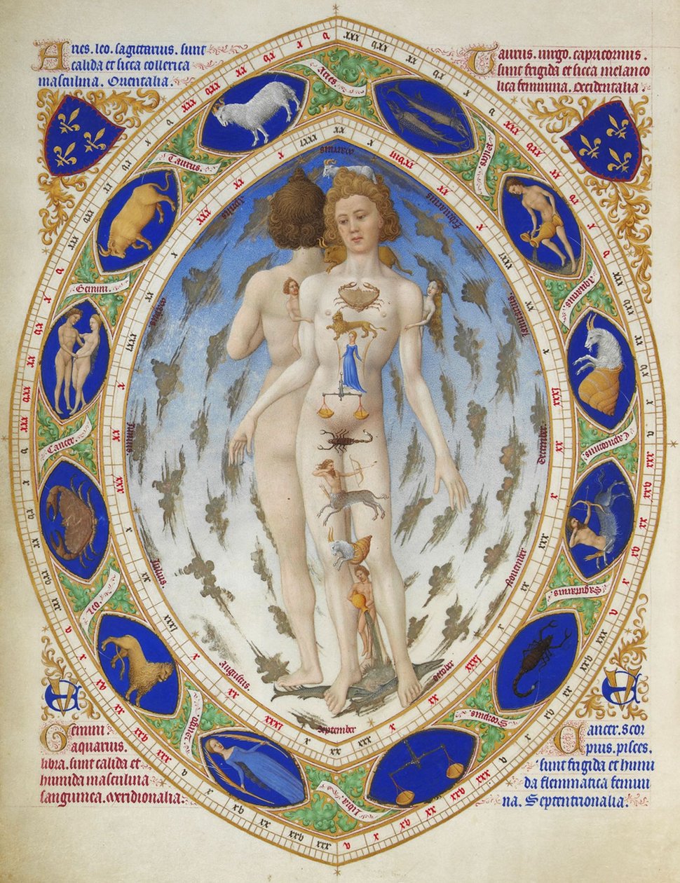 Bardzo bogate godziny księcia Berry: anatomiczny mężczyzna autorstwa Limbourg Brothers