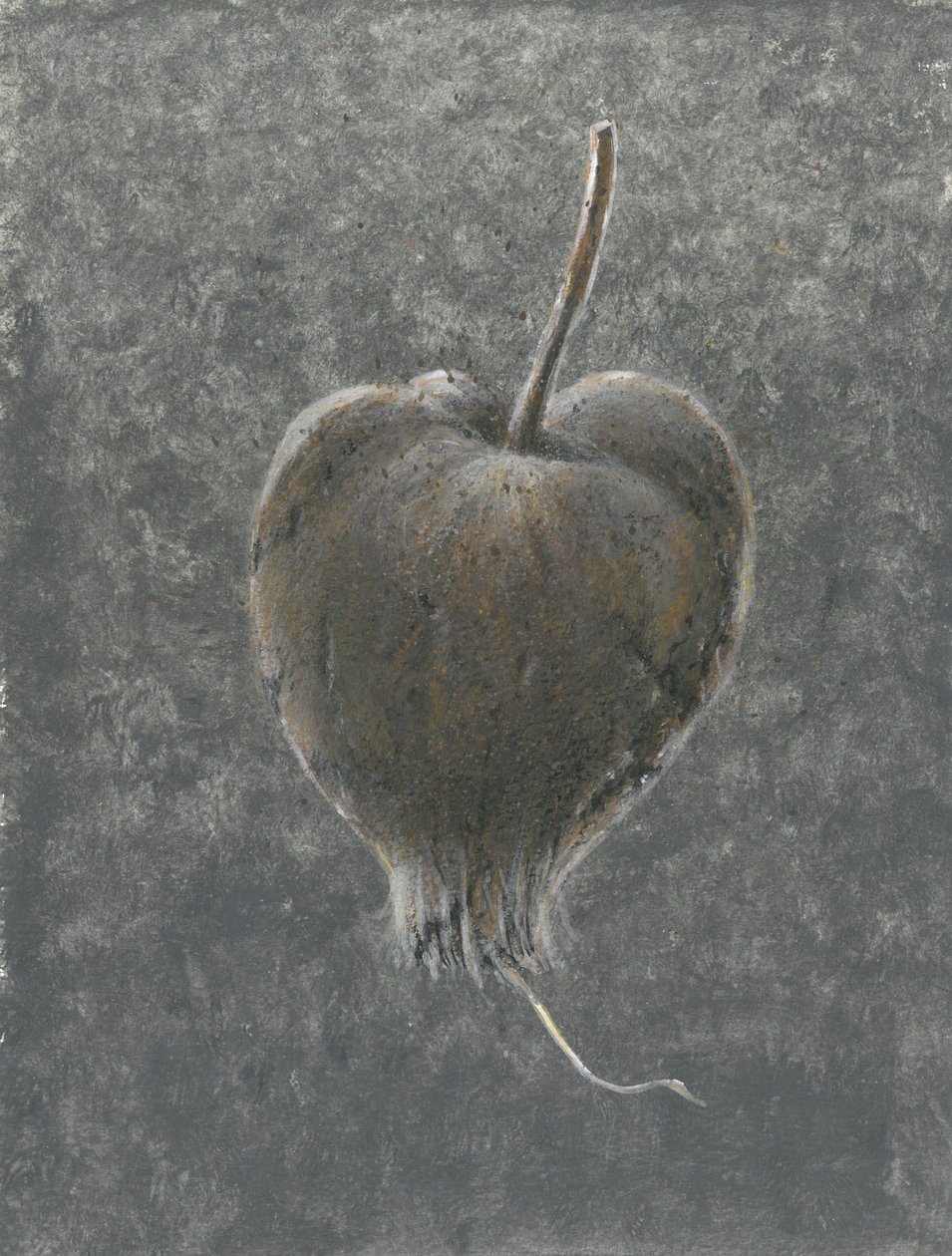 Barringtonia Acutangula (akryl na papierze) autorstwa Lincoln Seligman