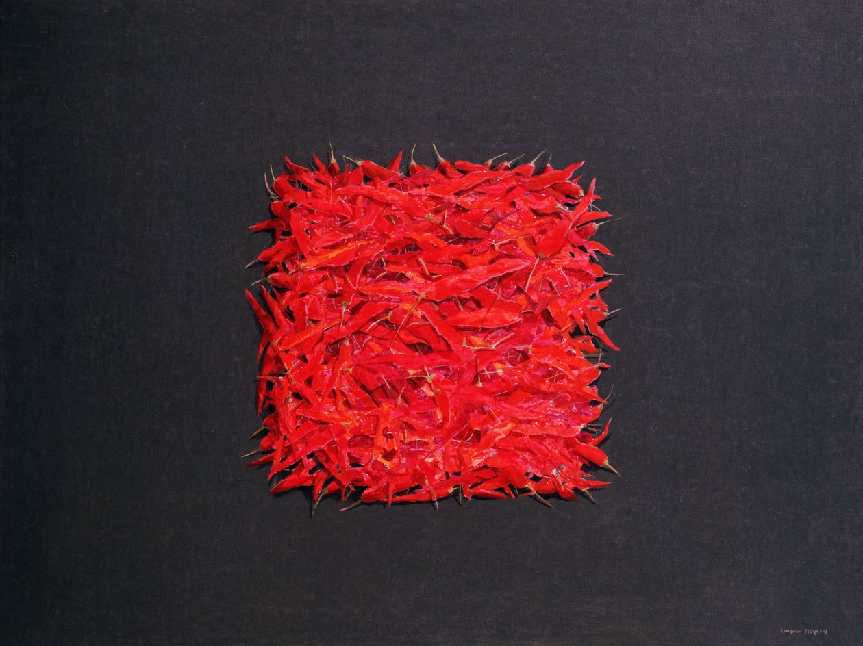 chilli autorstwa Lincoln Seligman