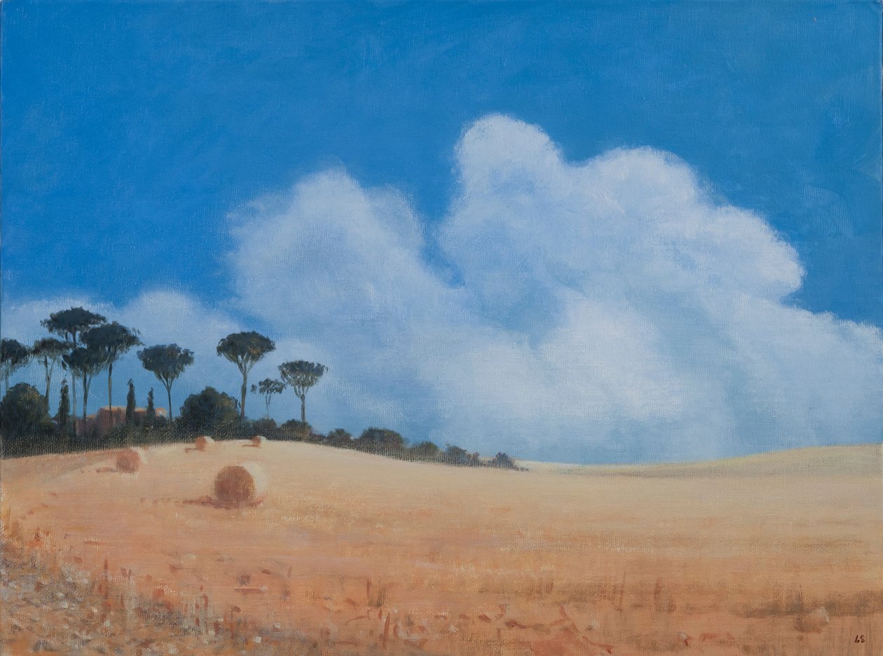 Pejzaż koło Paganico, 2012 (akryl na płótnie) autorstwa Lincoln Seligman
