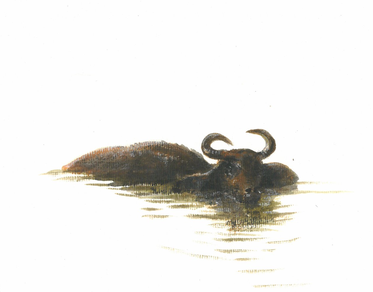 Bawół wodny 2, 2015 autorstwa Lincoln Seligman