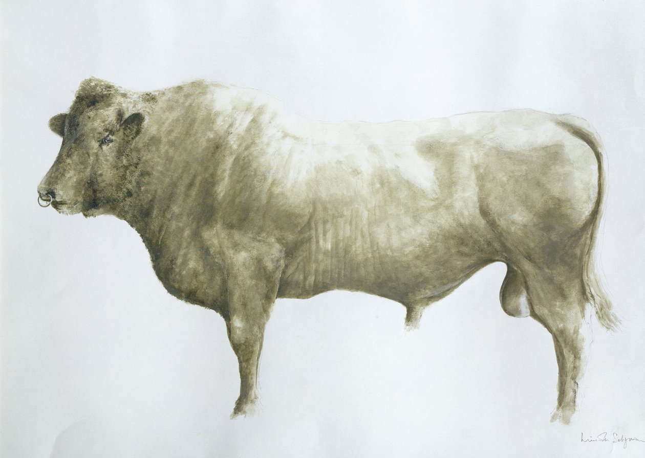 Islay Bull, 2004 (akryl na płótnie) autorstwa Lincoln Seligman