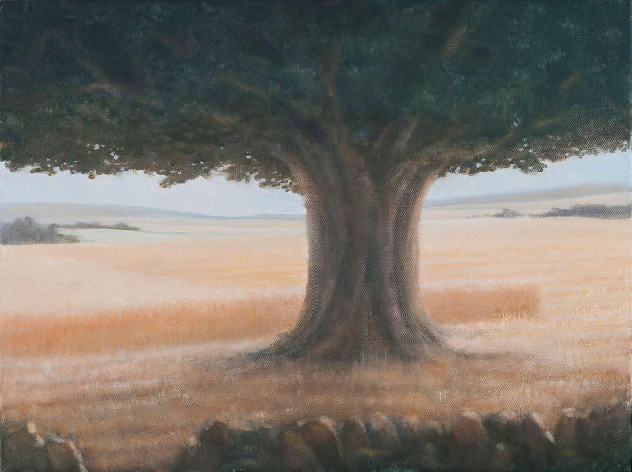 Drzewo, Holwell, 2012 (akryl na płótnie) autorstwa Lincoln Seligman