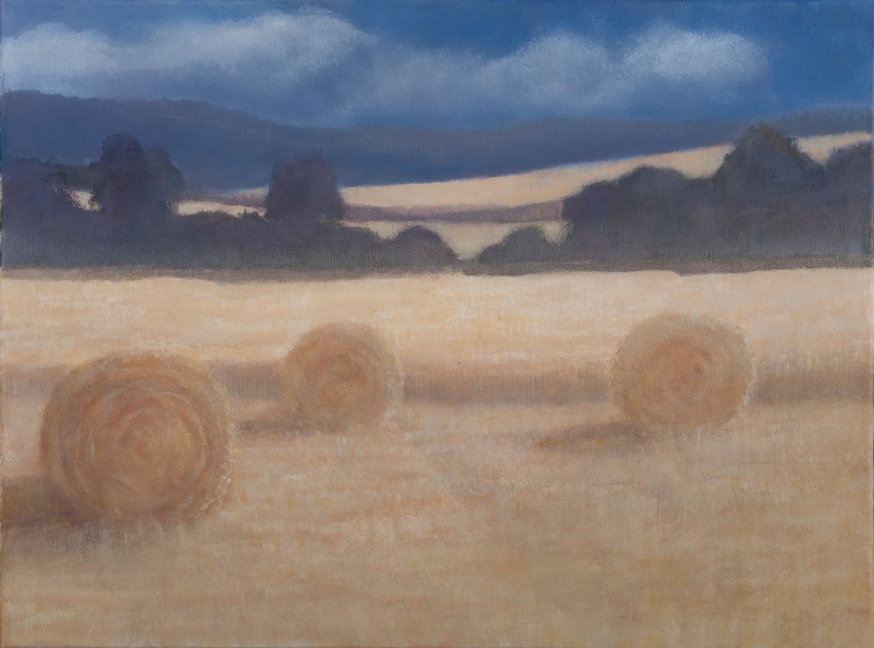 Dwie bele siana, 2012 (akryl na płótnie) autorstwa Lincoln Seligman