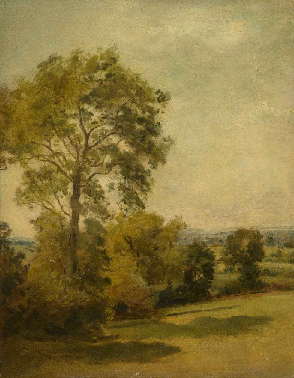 Drzewo w krajobrazie, ok.1850 autorstwa Lionel Constable